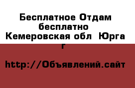 Бесплатное Отдам бесплатно. Кемеровская обл.,Юрга г.